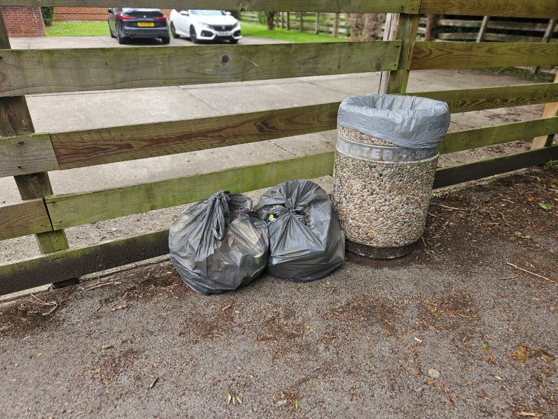 June Globe Park Litter Pick