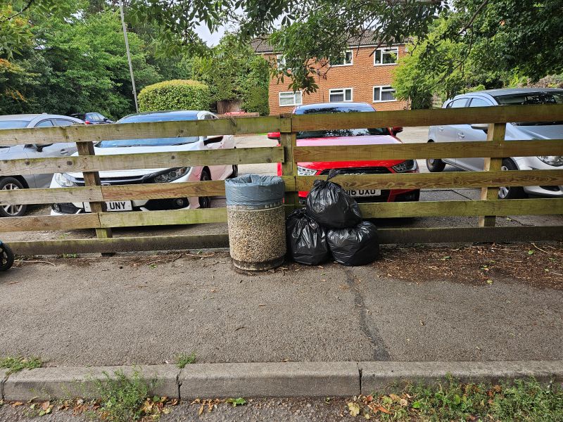 Globe BID Litter Pick – August 7, 2025