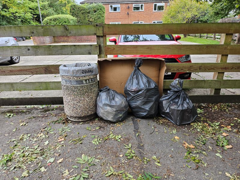 Globe BID Litter Pick