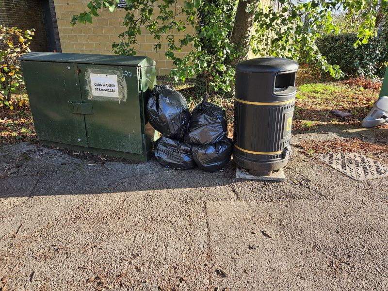 Globe Park Litter Pick