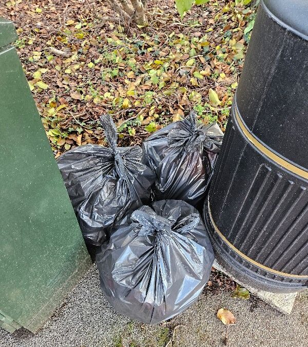 Globe Park Litter Pick