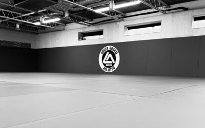 Roger Gracie Brazilian Jiu Jitsu Academy