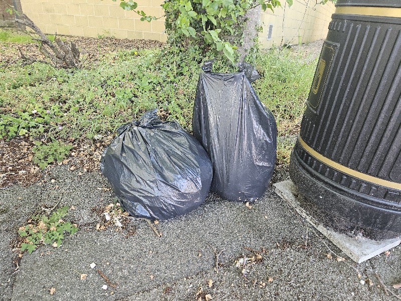 Globe Park Litter Pick – 29/04/2026
