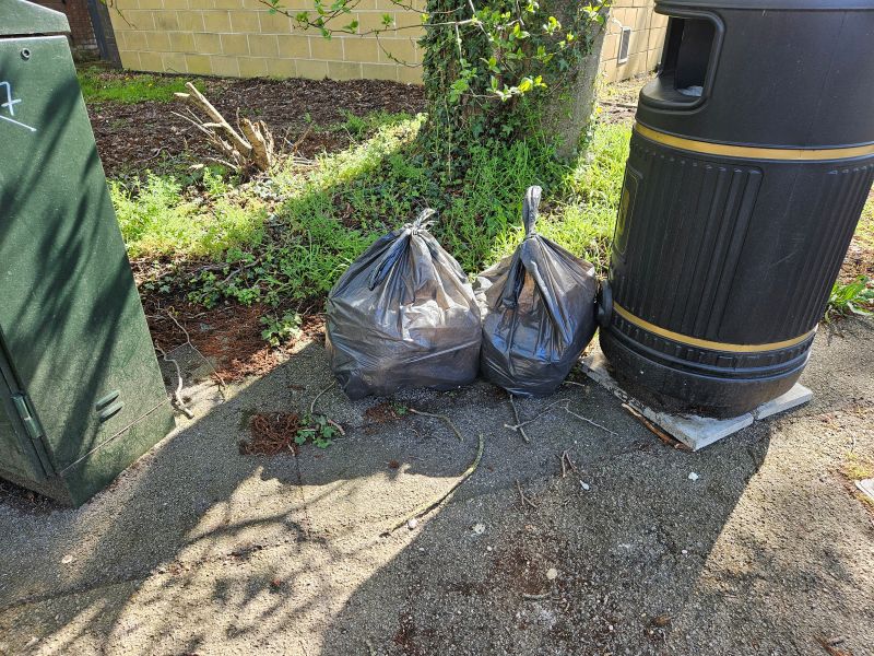 Globe BID Litter Pick – 08/04/2026
