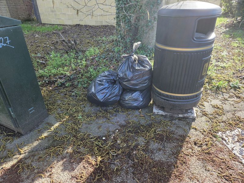 Globe BID Litter Pick – 10/03/2026