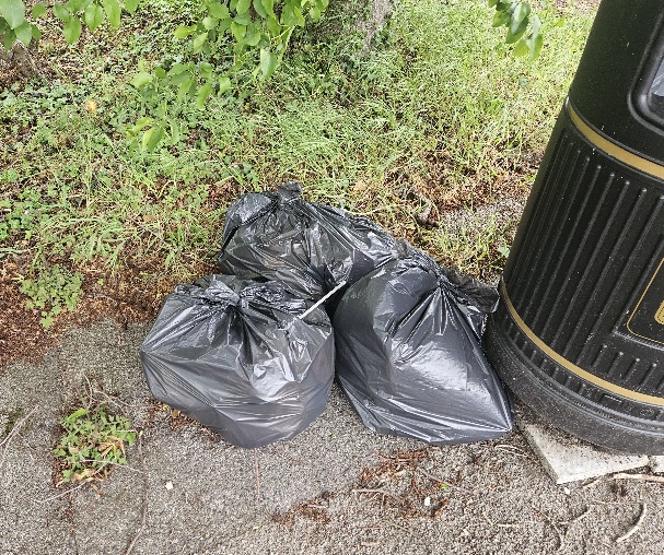 Globe Park Litter Pick – 18/05/2026