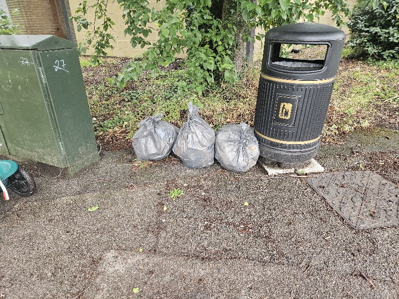 Globe Park Litter Pick – 08/06/2026